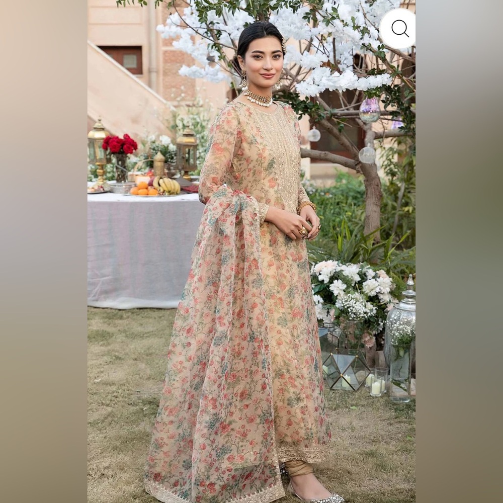 Stunning organza 3 pc Eid set (size small) Pakistani Shalwar Kameez